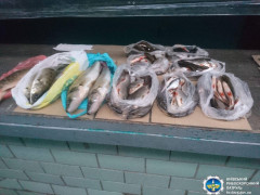 Повсюдні порушення збуту водних ресурсів на Київщині (ФОТО)