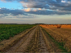На Рокитнянщині прокуратура повернула землю у комунальну власність