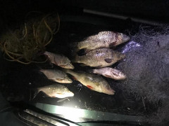 Поліцейські Фастівщини затримали браконьєра на "гарячому"