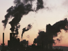 У Глеваській громаді підприємство викидає у повітря шалену кількість шкідливих речовин (ВІДЕО)