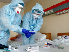 За добу від коронавірусу померли 12 жителів Київщини