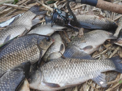 За місяць працівники рибоохоронного патруля Київщини зафіксували порушень на понад 1 млн грн