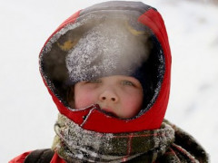 Водій маршрутки на Київщині вигнав дитину з транспорту на мороз (ФОТО)
