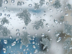 Прогноз погоди для жителів Київщини на 19-те березня