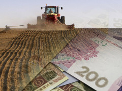 Аграрії Київщини отримали підтримку від держави