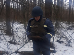 Відгомін війни: на Рокитнянщині знайшли вибухонебезпечний предмет