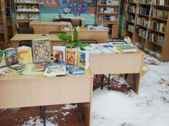 У Боярці обікрали дитячу бібліотеку