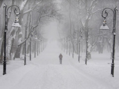 Прогноз погоди для жителів Київщини на 30-те січня