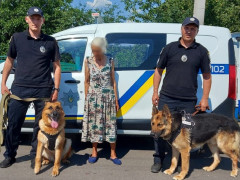 Правоохоронці знайшли 82-річну жительку Бородянської ОТГ, яка заблукала в лісі