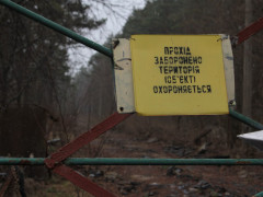 Кількість відвідувачів зони відчуження за три роки збільшилась майже в 10 разів