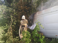 У Володарському районі автівка врізалася в дерево: є загиблий (ФОТО)
