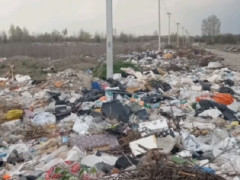 Біля аеропорту "Бориспіль" ліквідували стихійне сміттєзвалище та оштрафували порушників