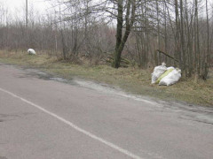 На Білоцерківщині камери зняли водія, який викидав мішки зі сміттям біля дороги (ВІДЕО)