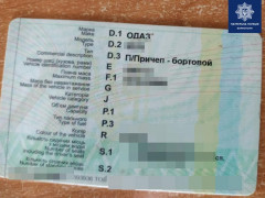 На Київщині патрульні зупинили водія з підробленими документами (ФОТО)