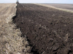 Сільраді у Ставищенському районі повернули незаконно виділені 4 га землі