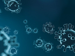 Обухівський район лідирує за кількістю хворих на коронавірус