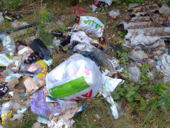 Жительку Макарівщини оштрафували за сміття, викинуте в невстановленому місці