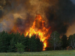 У КОДА готуються до сезону лісових пожеж