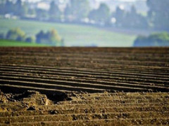 КОДА опублікувала звіт про весняно-польові роботи в області