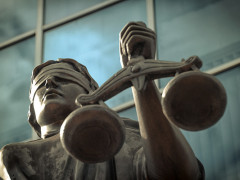 У Вишгороді прокуратура повернула державі земельну ділянку