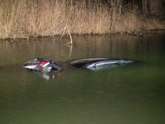 Під Ірпенем через собаку автомобіль з 9-річною дитиною в салоні опинився у річці (ВІДЕО)