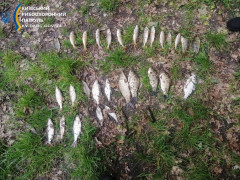 На Білоцерківщині чоловіки попри заборону ловили рибу сітками