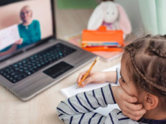 На Київщині зменшилася кількість шкіл, які навчаються дистанційно
