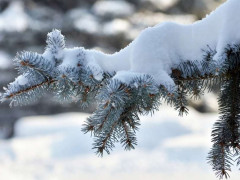 Прогноз погоди для жителів Київщини на 11-те грудня