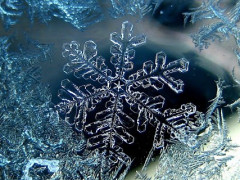 Прогноз погоди для жителів Київщини на 11-те січня