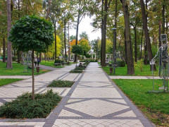Ірпінь посів сьоме місце серед найкращих міст України для бізнесу