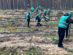 Поліцейські Славутича долучилися до акції з висадження лісу