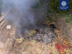 Бориспільчанин сплатить штраф за паління сміття