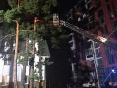 Ірпінець хотів визволити кота, але рятувати довелося його самого