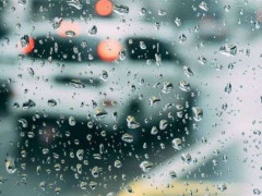 Прогноз погоди для мешканців Київщини на 24-те травня