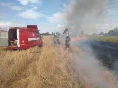 На Київщині почастішали пожежі в екосистемах