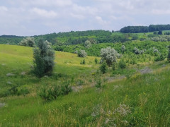У Миронівській громаді створять два заказники