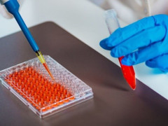 ІФА-тест на антитіла здали майже 30 тис жителів Київської області