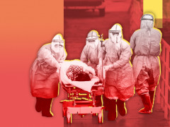 Covid-19 не відступає: на Київщині зафіксували 1036 випадків хвороби