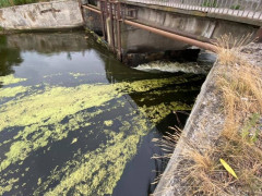 Стало відомо, чому у Фурсах прорвало дамбу на річці