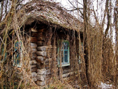У Чорнобилі відшукали будиночок, який не зруйнувався за 34 роки (ФОТО)