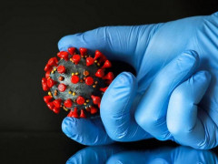 На Київщині зафіксували 595 випадків захворювання на коронавірус