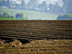 Бориспільська РДА незаконно передала держземлі у приватну власність