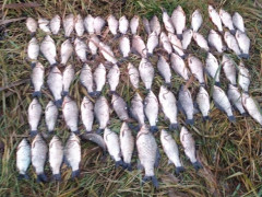 Поблизу Українки браконьєр виловив риби на майже 114 тис грн (ФОТО)