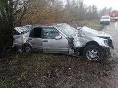 На Згурівщині водій легковика не впорався з керуванням і влетів у дерево