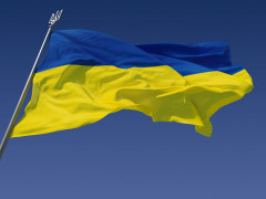  У Вишгородському районі без відома громади звільнили секретаря сільради