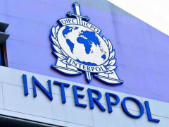 Шахраїв-забудовників з Ірпеня оголосили в міжнародний розшук