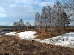 Погода на Київщині та у столиці 20-го лютого