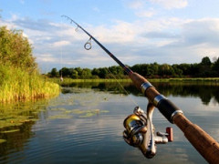 На Білоцерківщині на період весняного наресту обмежили вилов риби 