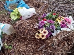  На Бородянщині просять не купувати штучні квіти та розміщувати їх на кладовищах 