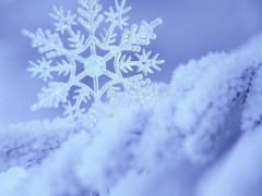 Прогноз погоди для жителів Київщини на 5-те лютого